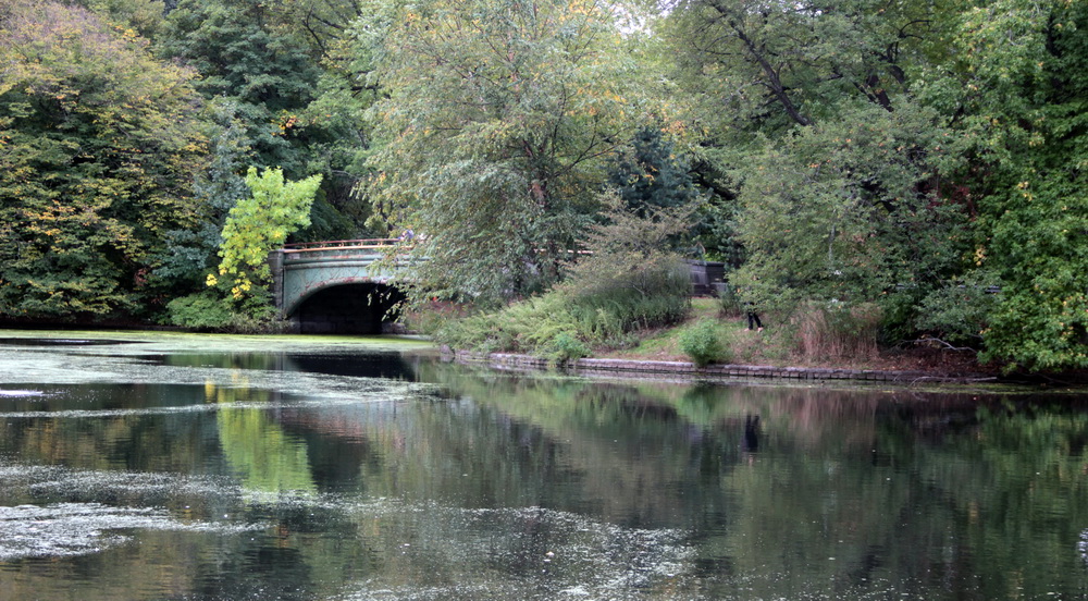 Фотографія У Центральному парку Нью-Йорк / Юрий Эбер / photographers.ua