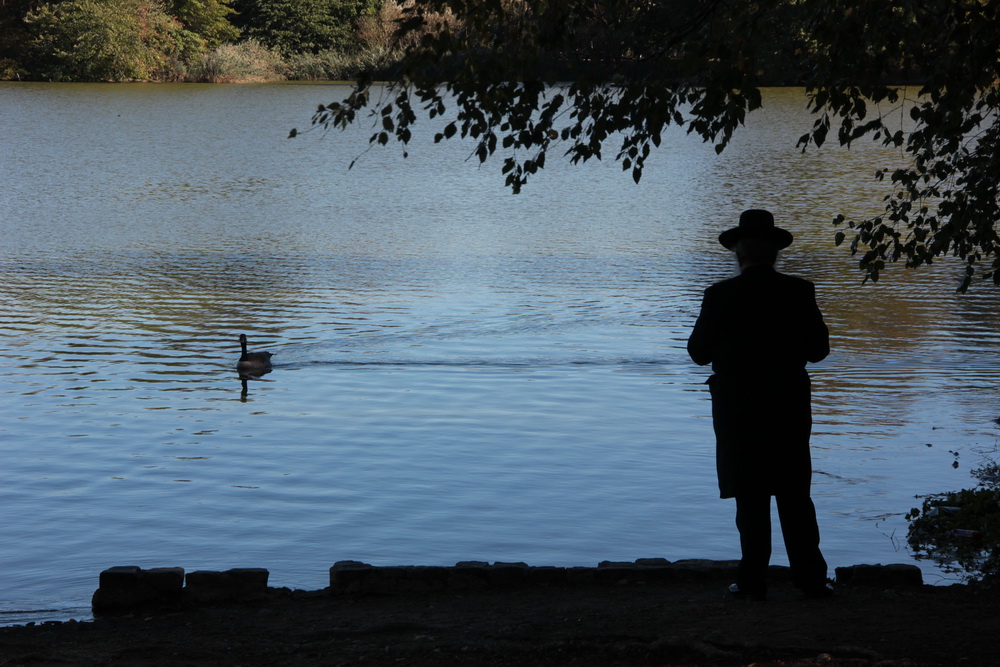 Фотографія У озера / Юрий Эбер / photographers.ua