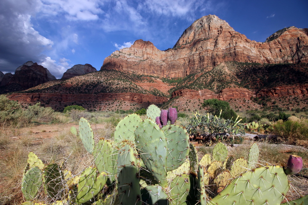 Фотографія Дикий Захід / Юрий Эбер / photographers.ua