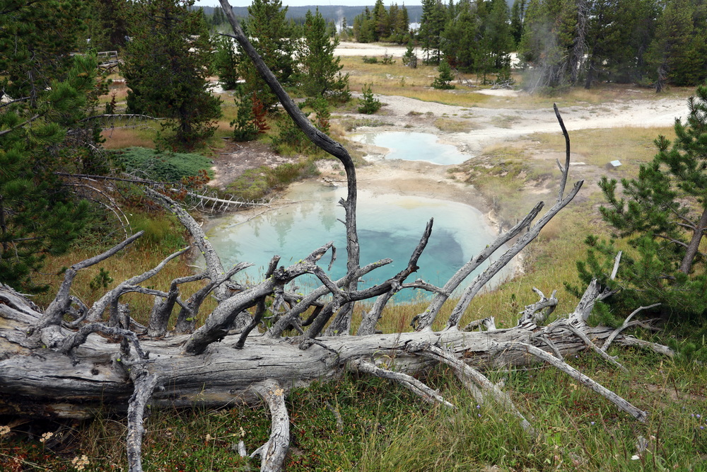 Фотографія Єллоустоун, Вайомінг, США. Марсіанські хроніки / Юрий Эбер / photographers.ua