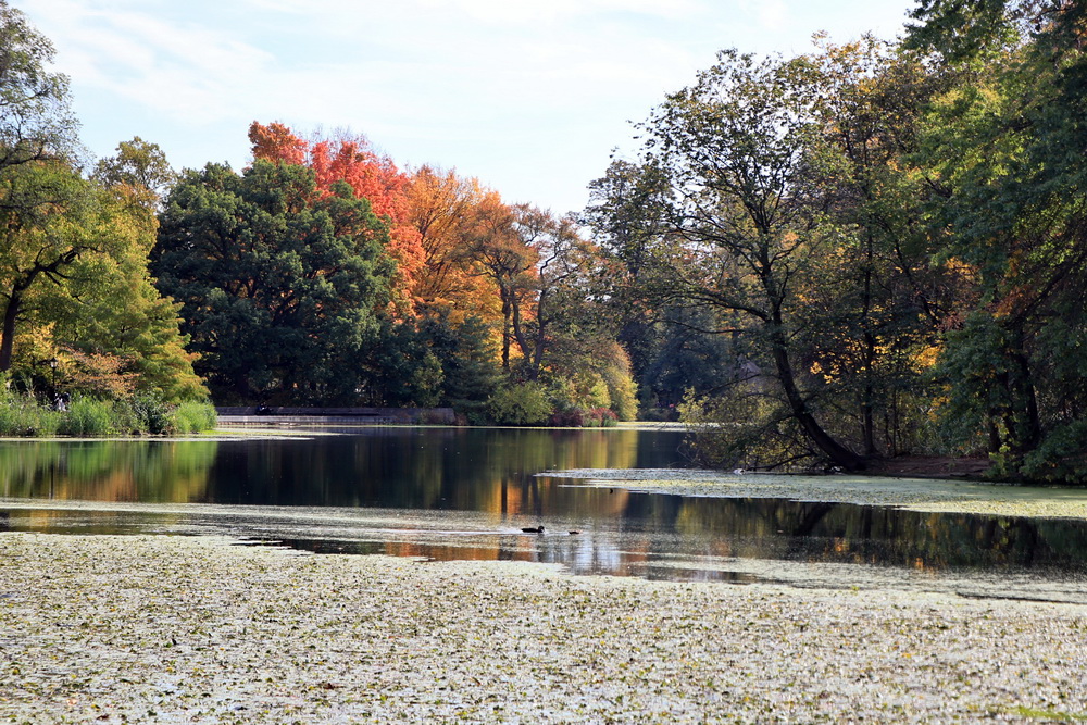 Фотографія Пейзаж / Юрий Эбер / photographers.ua