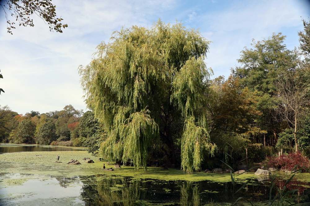 Фотографія Пейзаж / Юрий Эбер / photographers.ua