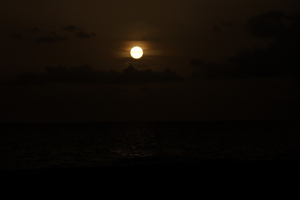 Фотографія Чи не місячна ніч, сонячна. / Юрий Эбер / photographers.ua