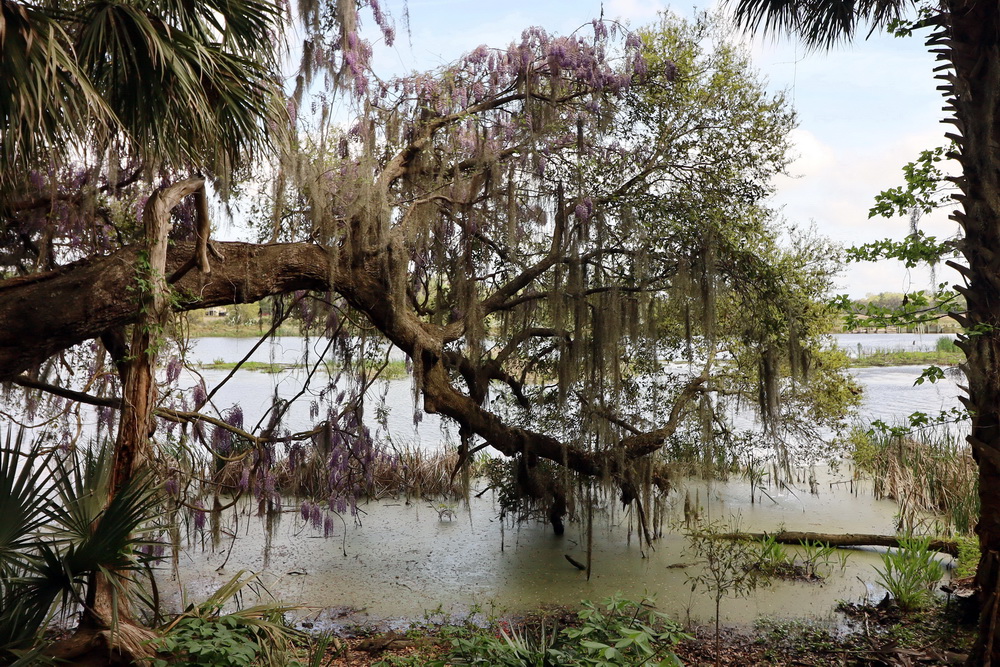 Фотографія Пейзаж / Юрий Эбер / photographers.ua