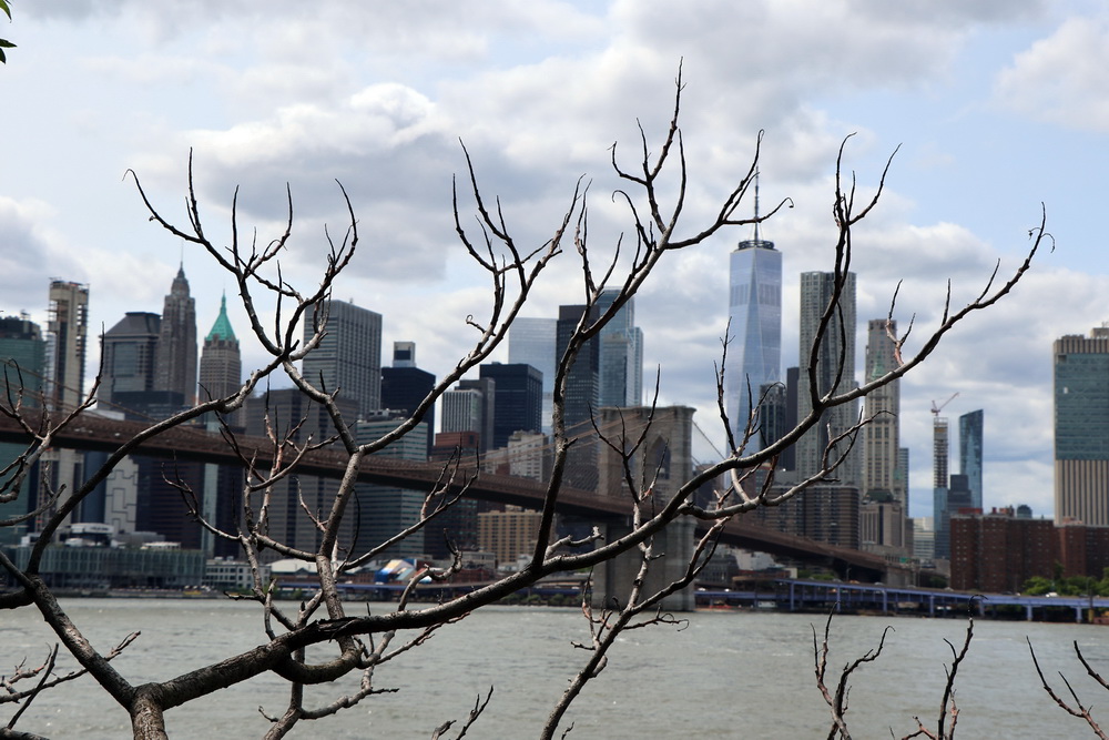 Фотографія Манхеттен. / Юрий Эбер / photographers.ua