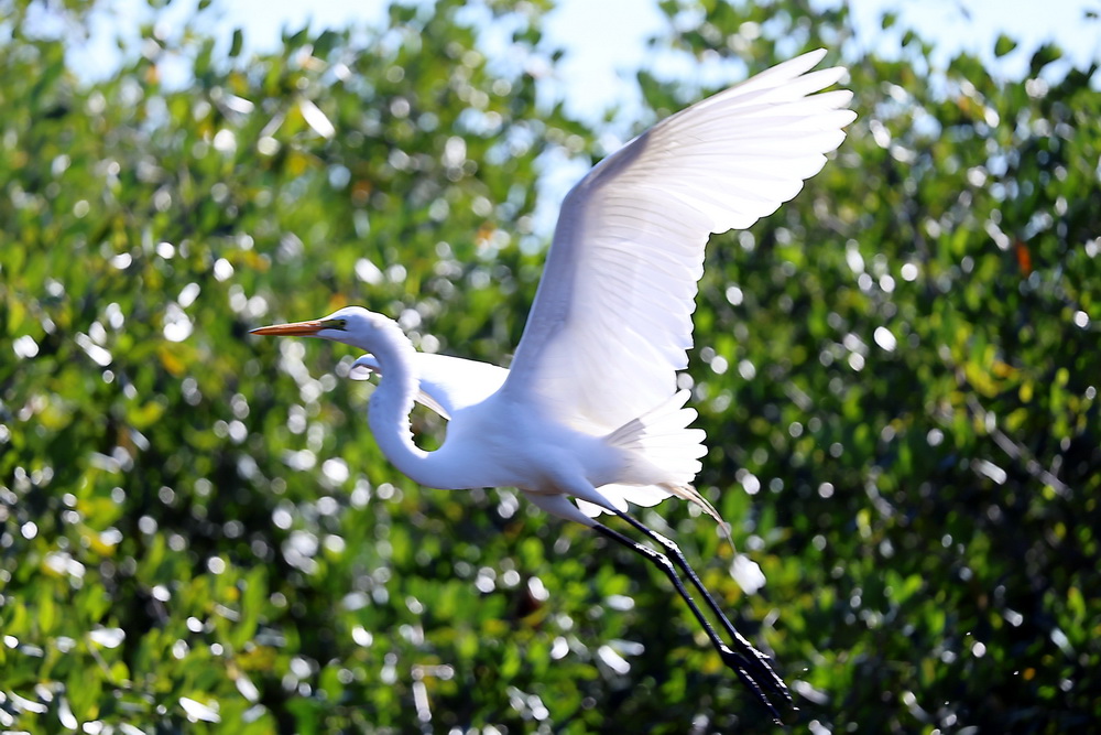 Фотографія Животные / Юрий Эбер / photographers.ua