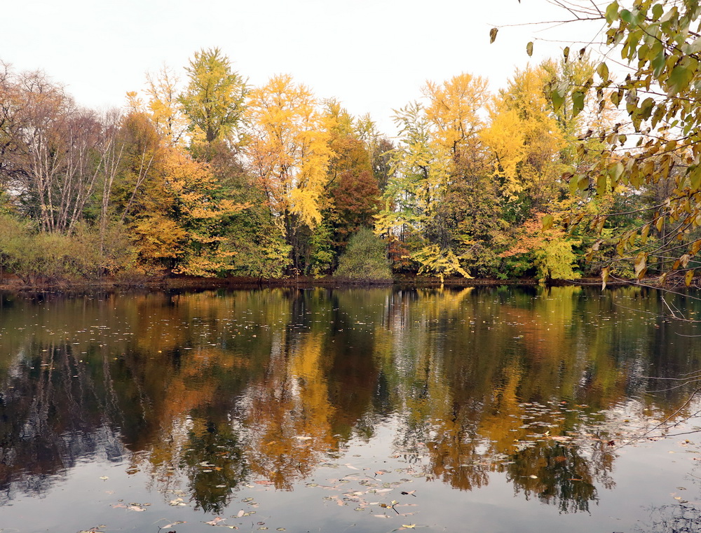 Фотографія Пейзаж / Юрий Эбер / photographers.ua
