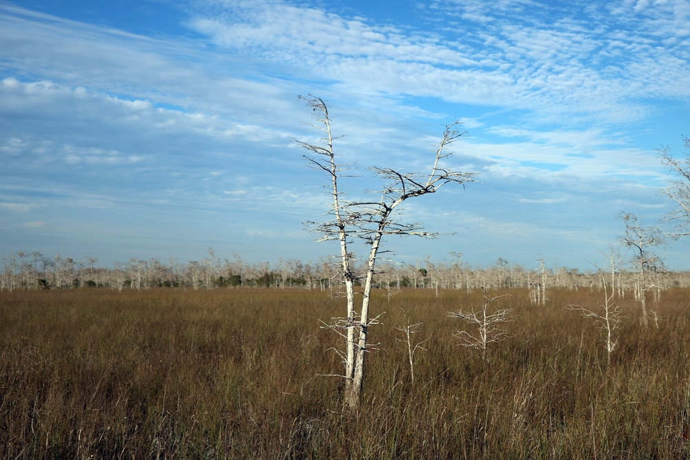 Фотографія Пейзаж / Юрий Эбер / photographers.ua