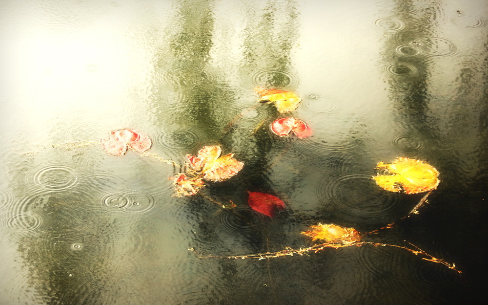 Фотографія Акварель / Юрий Эбер / photographers.ua