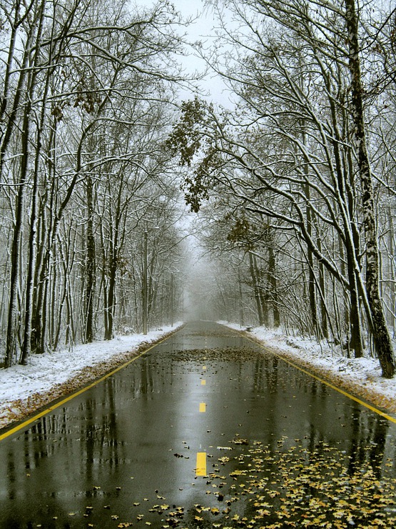 Фотографія Из влажной свежести рожденный снег / HELLEN / photographers.ua