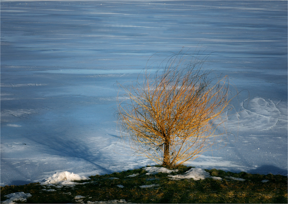 Фотографія Небесный лёд / HELLEN / photographers.ua