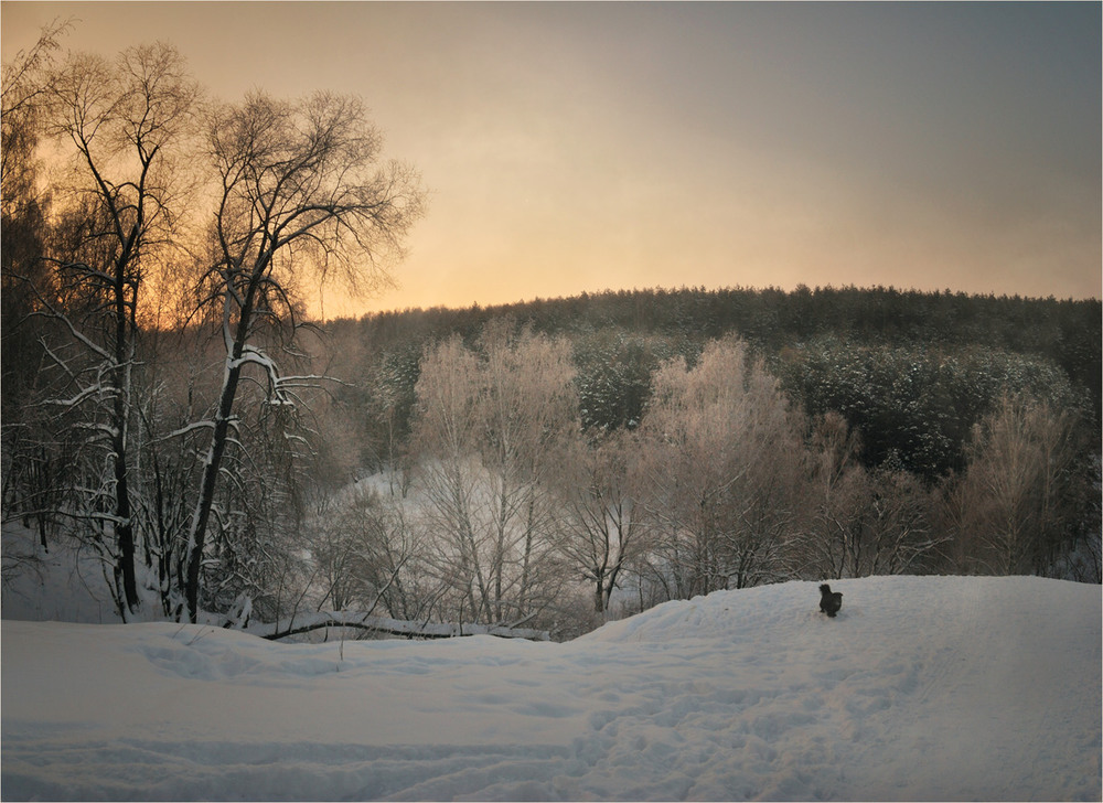 Фотографія Тёплые мысли в морозном воздухе / HELLEN / photographers.ua