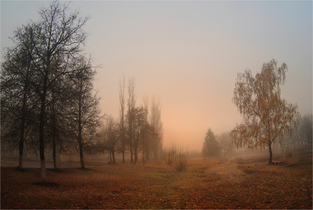 Фотографія В прозрачной гущине мягкого тумана / HELLEN / photographers.ua