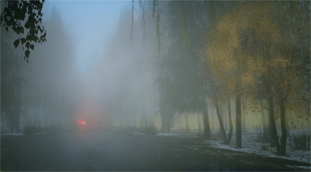 Фотографія Иллюзии тумана / HELLEN / photographers.ua