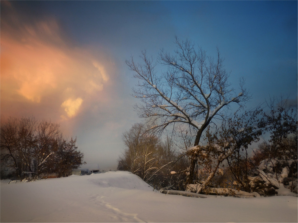 Фотографія Зимний вечер / HELLEN / photographers.ua