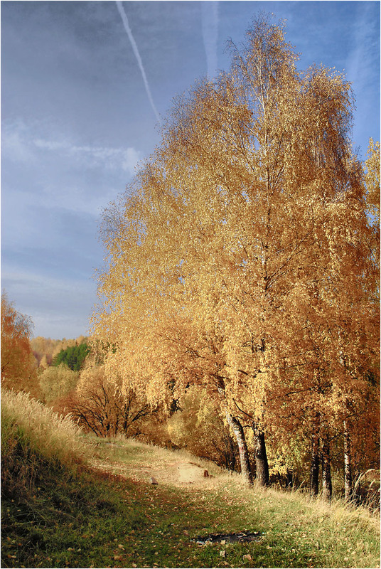 Фотографія Осень жёлто-хрустальная / HELLEN / photographers.ua