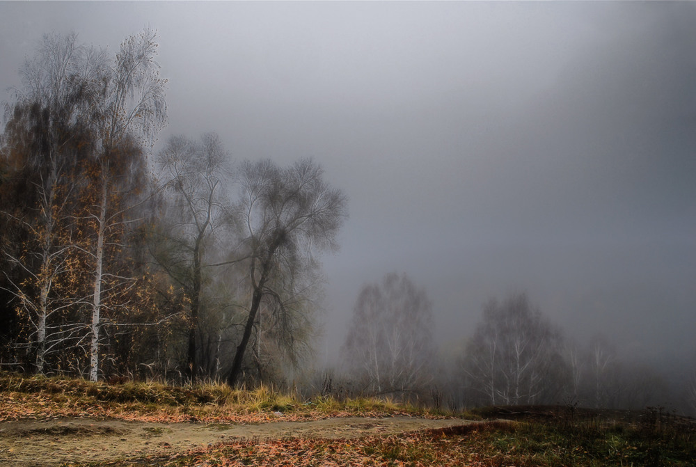 Фотографія Погружаясь в туманную суть / HELLEN / photographers.ua