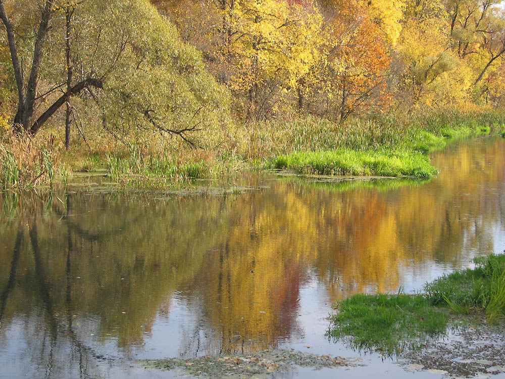 Фотографія Звуки, краски осветились воздухом осенним... / HELLEN / photographers.ua