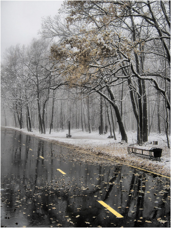 Фотографія Штрихи тающего тумана / HELLEN / photographers.ua