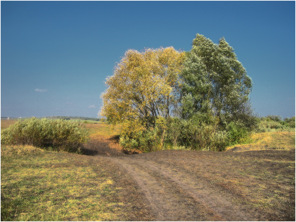 Фотографія Лето с осенью встречалися... / HELLEN / photographers.ua