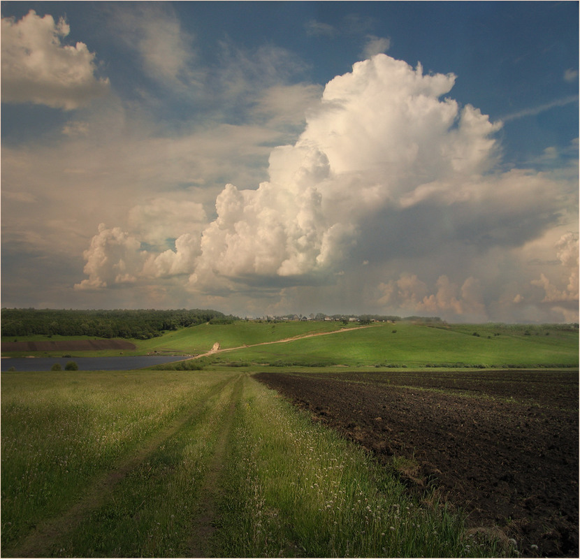 Фотографія Что чувствуют облака перед дождём?.. / HELLEN / photographers.ua