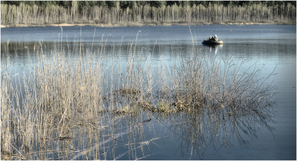 Фотографія По тихой прохладе воды... / HELLEN / photographers.ua