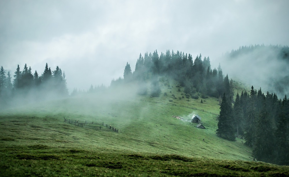 Фотографія Misty Mountain Hop 2 / Богдан Стафейчук / photographers.ua