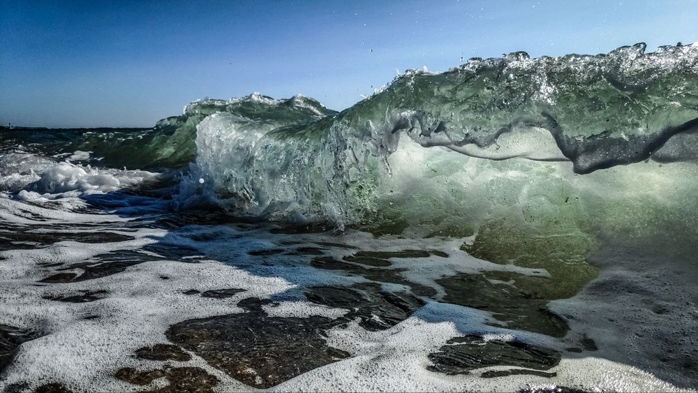 Фотографія Black Sea / LaFleurDuNord / photographers.ua