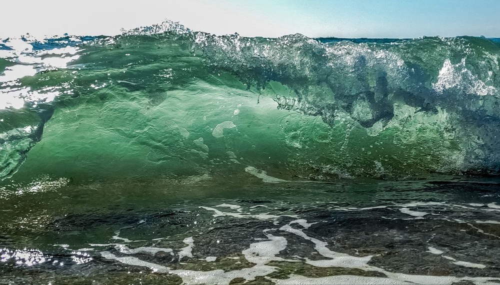 Фотографія Подводный мир / LaFleurDuNord / photographers.ua