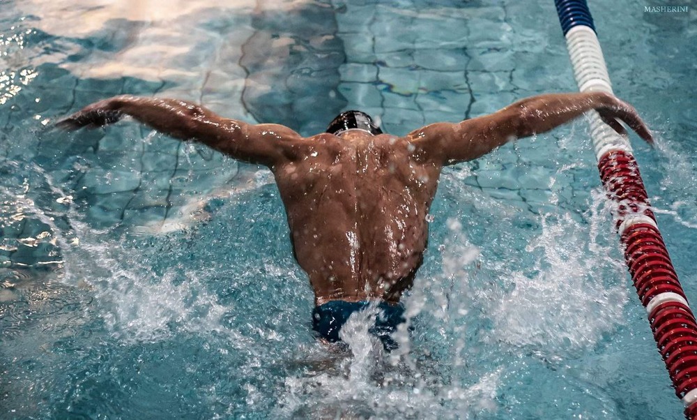 Фотографія Butterfly / LaFleurDuNord / photographers.ua