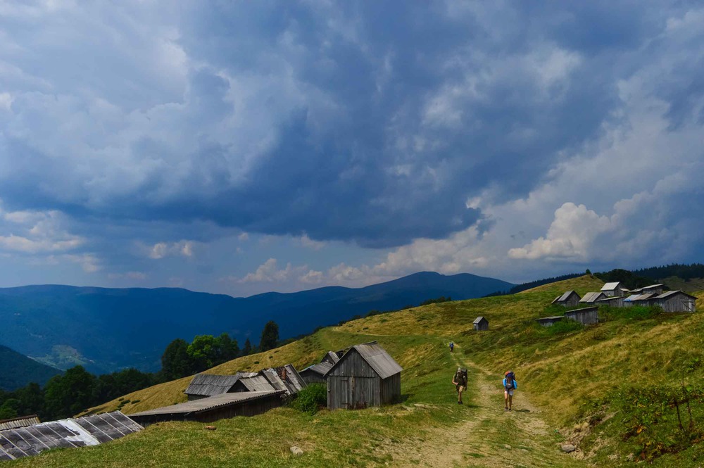 Фотографія Поверніть мене в літо й відправте у гори.. / Veronika Kolyadko / photographers.ua