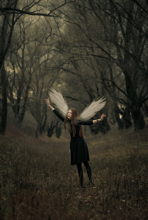 Фотографія Если вырастут крылья за спиной – я хочу чтобы были белыми… / Олеся Да / photographers.ua