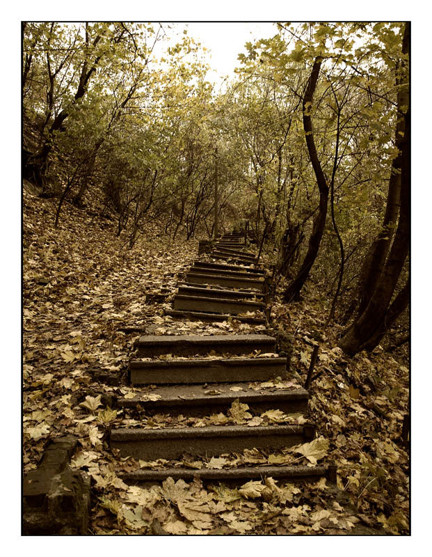 Фотографія Старая лестница – ноголомалка / Александр Хоменко / photographers.ua
