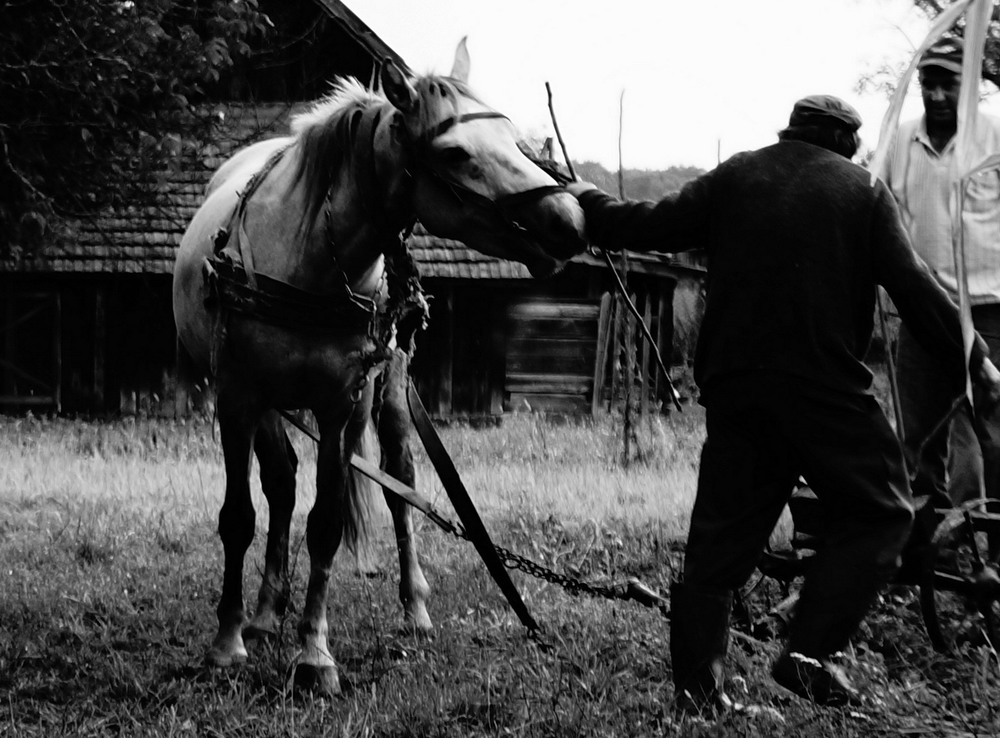 Фотографія Жанр / Ігор Татарчинський / photographers.ua