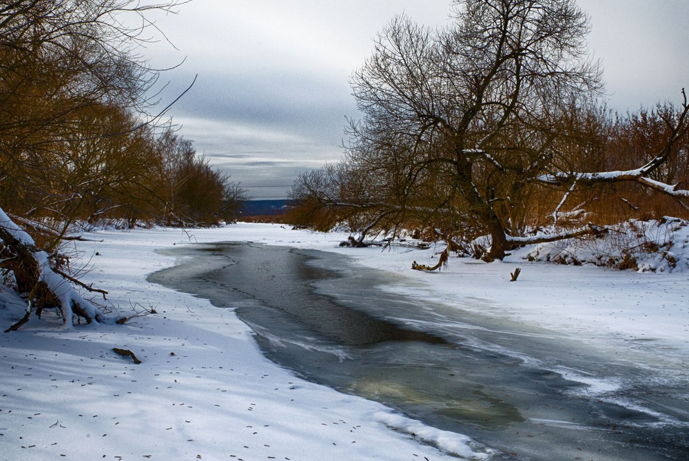 Фотографія Холодная пора / Дмитрий Сидорка / photographers.ua