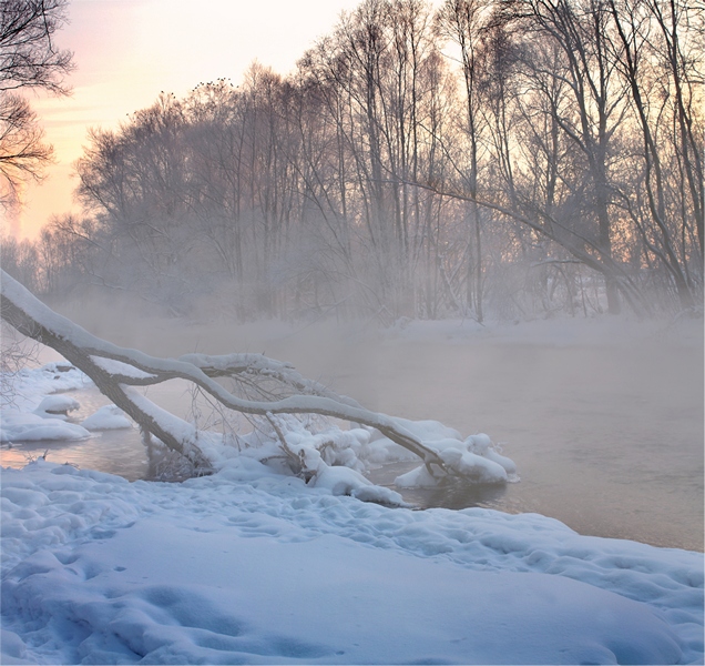 Фотографія Дыхание зимы.. / Dmitry Alekseev / photographers.ua