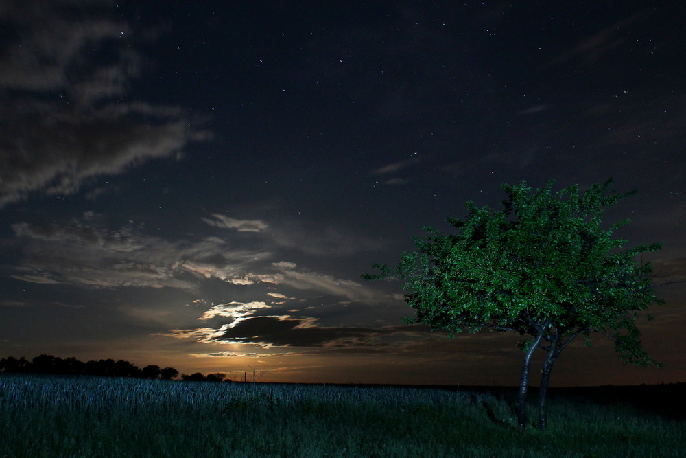 Фотографія Лунный закат / Михаил Левчук / photographers.ua