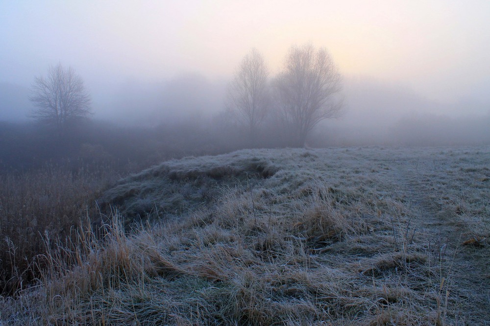 Фотографія Утро, туман, иней... / Михаил Левчук / photographers.ua