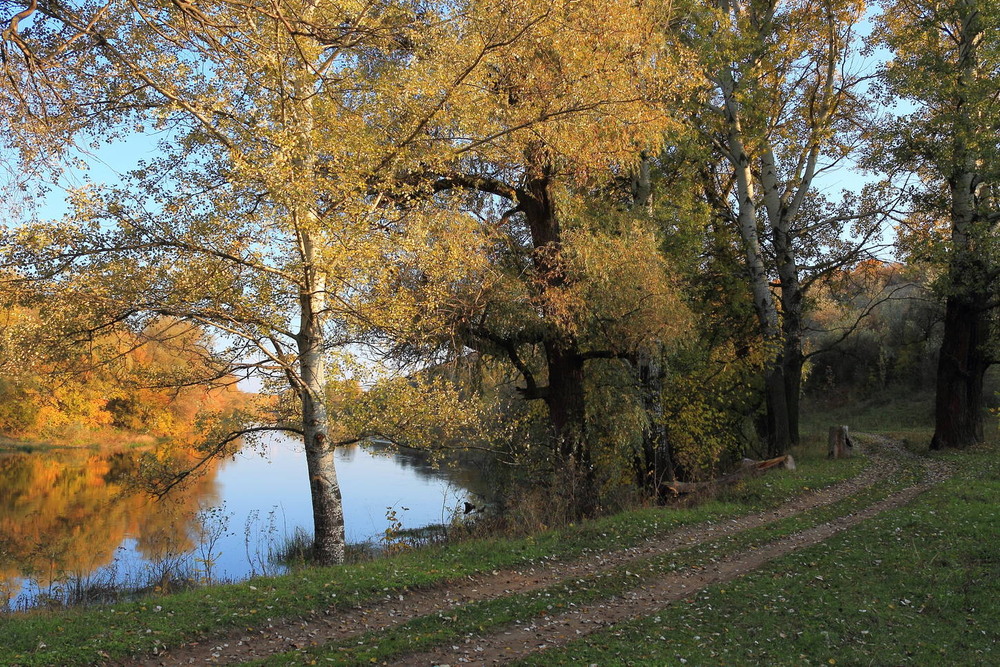 Фотографія Облачённая в осень / Михаил Левчук / photographers.ua