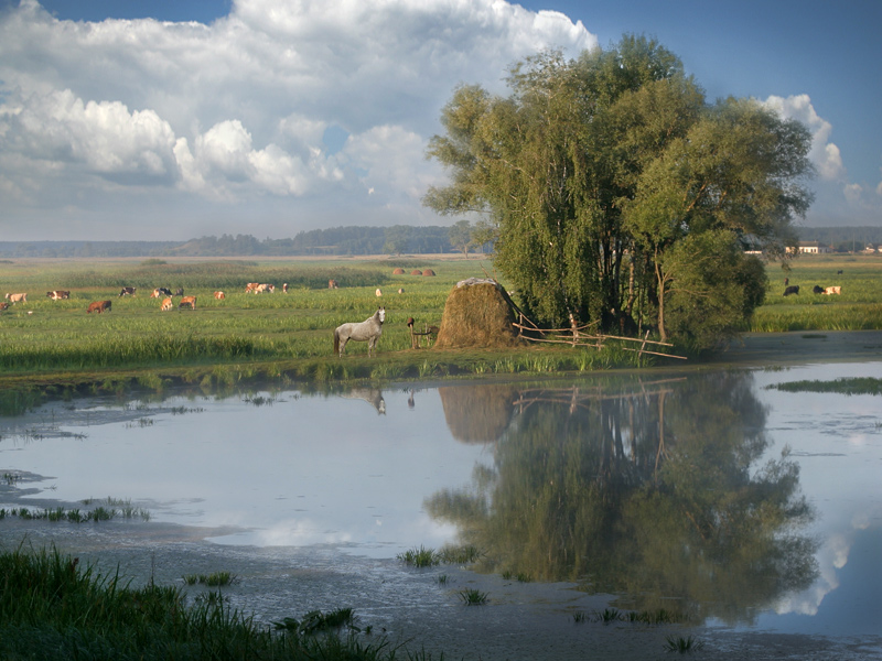 Фотографія лето / Александр Задирака / photographers.ua