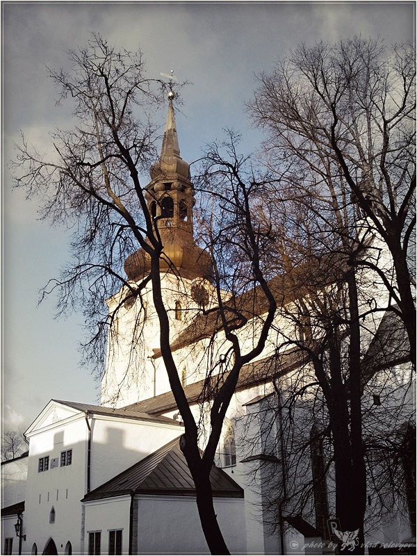 Фотографія Домская церковь в Таллинне / Vlad Solovyov / photographers.ua