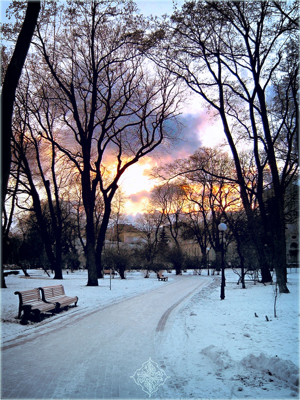 Фотографія Вечерняя прогулка в парке / Vlad Solovyov / photographers.ua