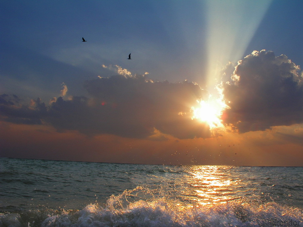 Фотографія Крым_2 / Igor Kondor / photographers.ua