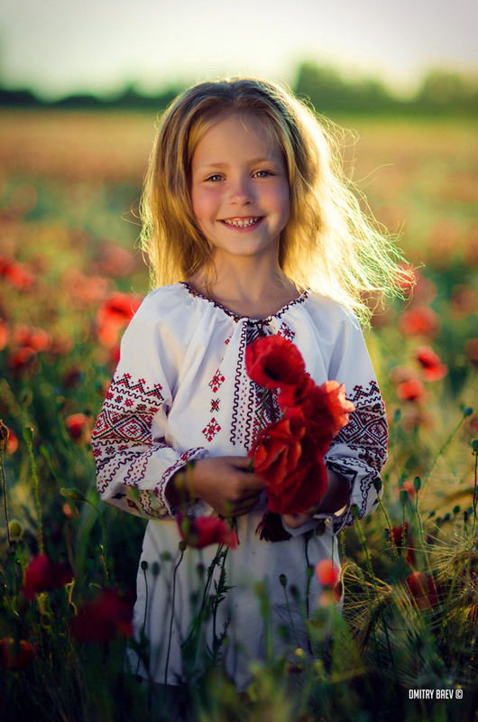 Фотографія Солнце,маки... / Дмитро Баєв / photographers.ua