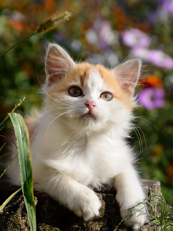 Фотографія Яська / Александр Бекешев / photographers.ua