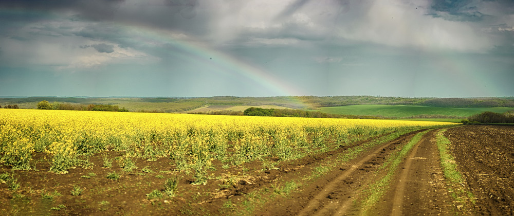 Фотографія Після дощу / Alex Fishhook / photographers.ua