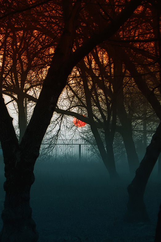 Фотографія foggy dusk / Alex Fishhook / photographers.ua