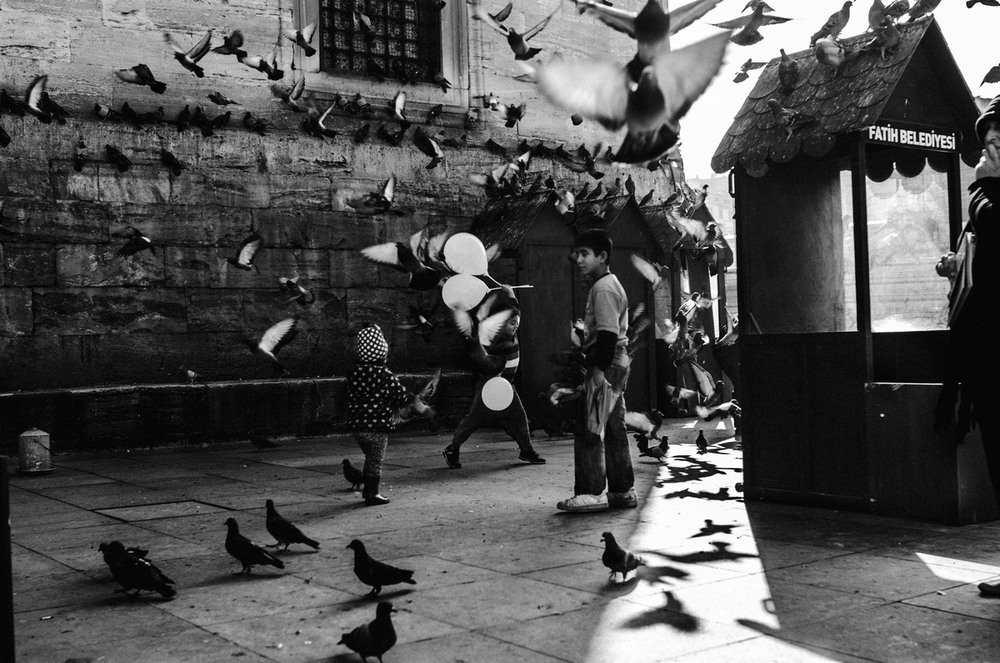 Фотографія Istanbul. Місто втрачених мрій. (dove) / Рома Рифяк / photographers.ua
