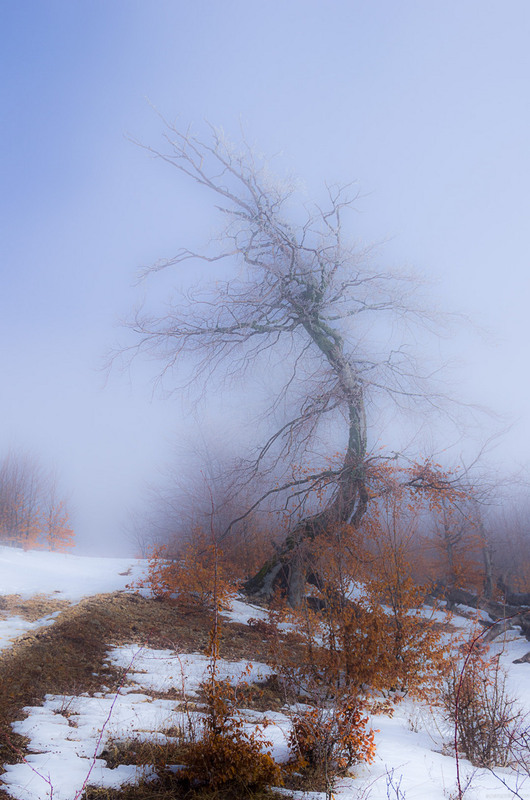 Фотографія Пейзаж / Андрей Сосненко / photographers.ua