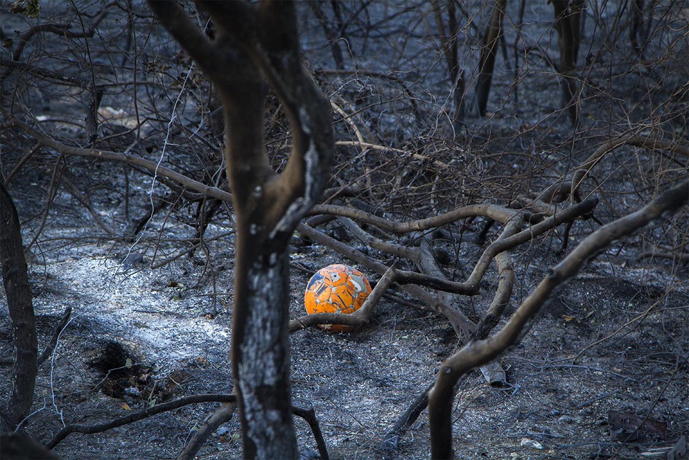 Фотографія Хайфа после пожара. / Maria Miller. / photographers.ua